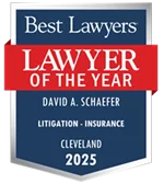 Lawyer of the Year - David Schaefer